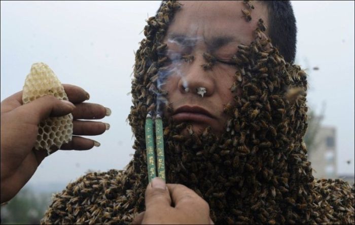Костюм из пчел (3 фото)