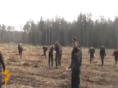 Битва за подмосковный лес (видео)