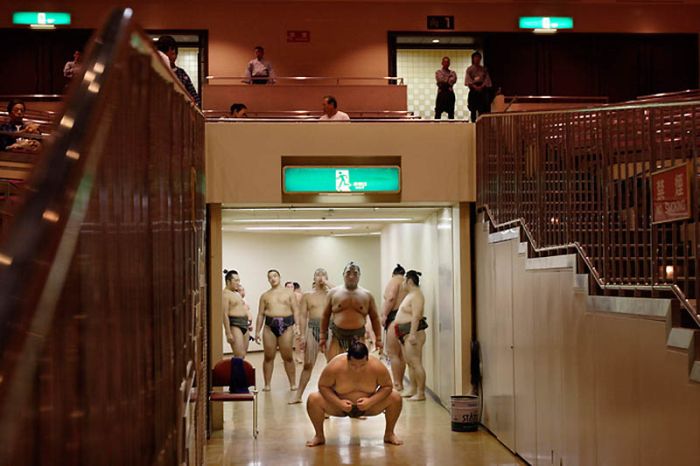 Повседневная жизнь борцов сумо (22 фото)