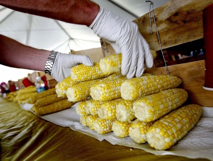 Поедание кукурузы в Южной Каролине (25 фото)