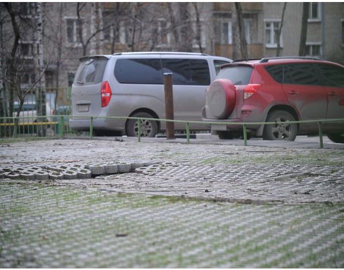 Провал идеи экопарковок в Москве (11 фото)