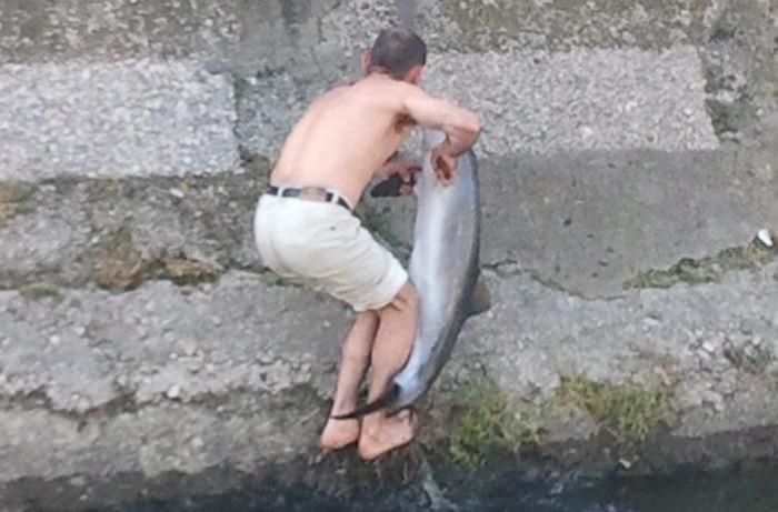 Спасение дельфина в Керчи (7 фото)