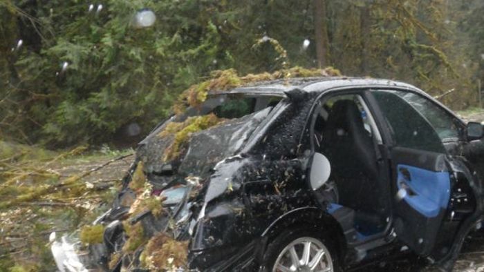 Крепкий кузов Subaru спас водителя от смерти (6 фото)