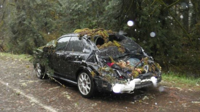 Крепкий кузов Subaru спас водителя от смерти (6 фото)