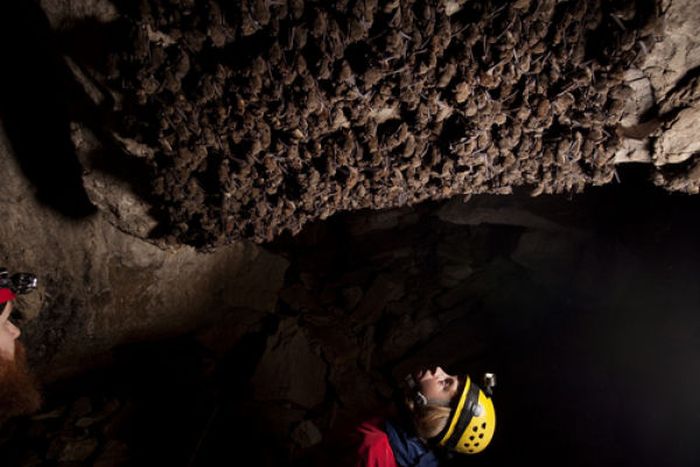 Загадка дня: стена в пещере (10 фото)