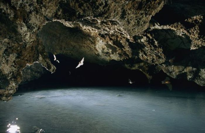 Загадка дня: стена в пещере (10 фото)