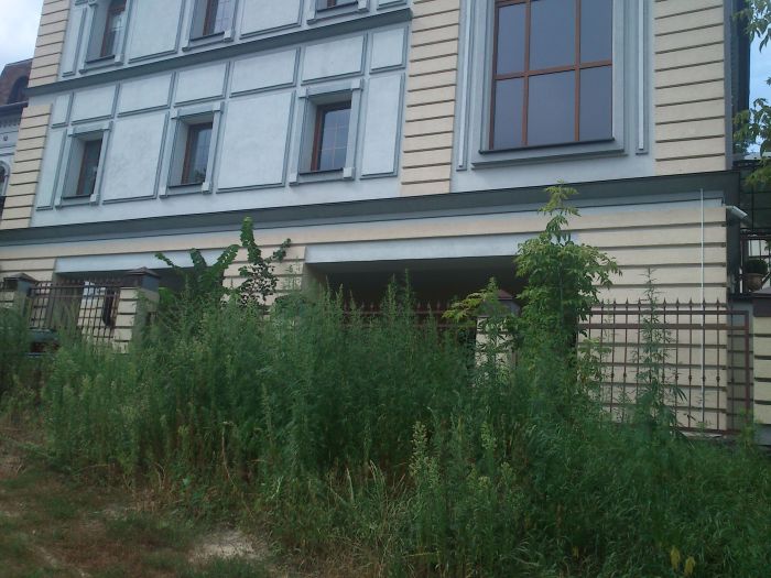 Что скрывается на заднем дворе офиса Газпрома (5 фото + видео)