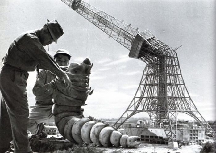 Съемки фильма "Годзилла" в 1954 году (11 фото)