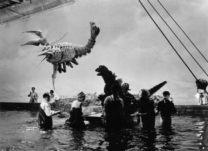 Съемки фильма "Годзилла" в 1954 году (11 фото)