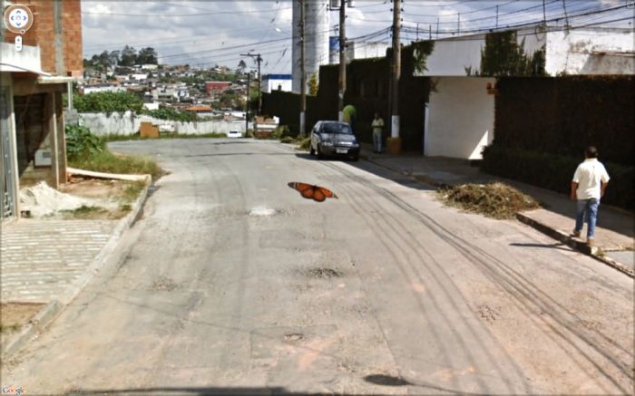Неординарные снимки из сервиса Google Street View (47 фото)