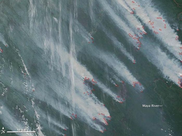 Серьезные пожары в Сибири (36 фото)