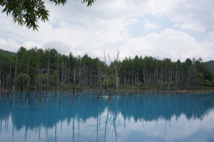 Удивительный "Синий пруд" в Японии (37 фото)
