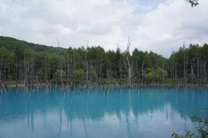 Удивительный "Синий пруд" в Японии (37 фото)