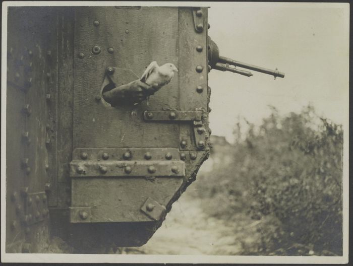 Большая коллекция архивных военных фотографий (100 фото)