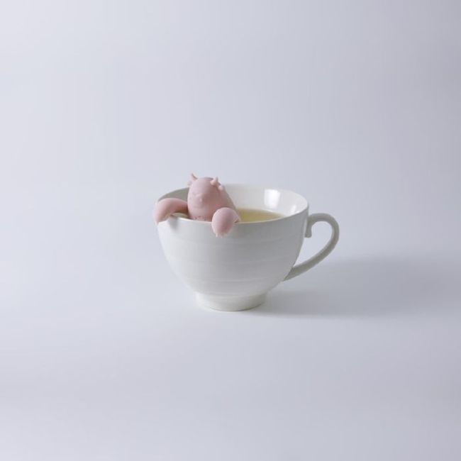 Креативные заварники для чая (29 фото)