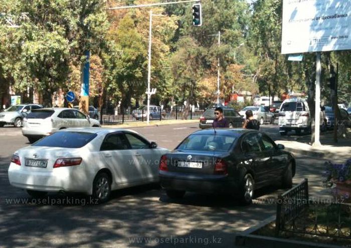 Особенности парковки в Казахстане (40 фото)