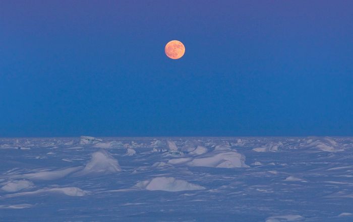 Экспедиция на арктическую станцию (20 фото)