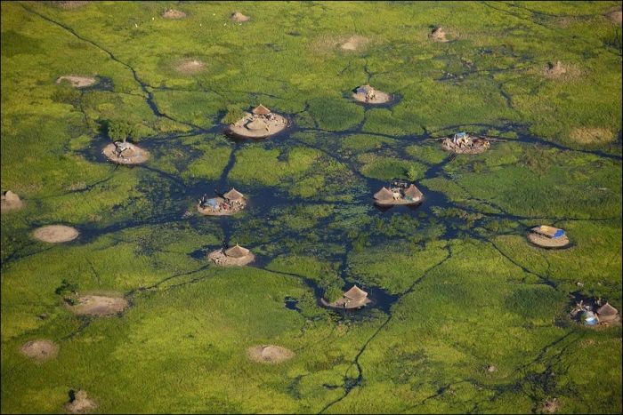Самое большое болото в мире (9 фото)