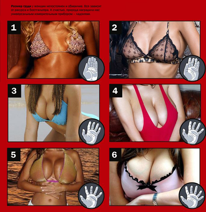 Немного о женской груди (5 картинок)