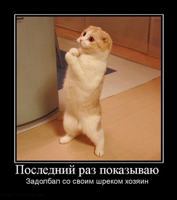 Демотиваторы (27 фото)
