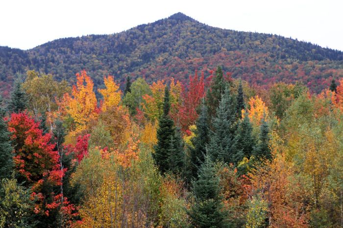 Осень во всей красе (40 фото)