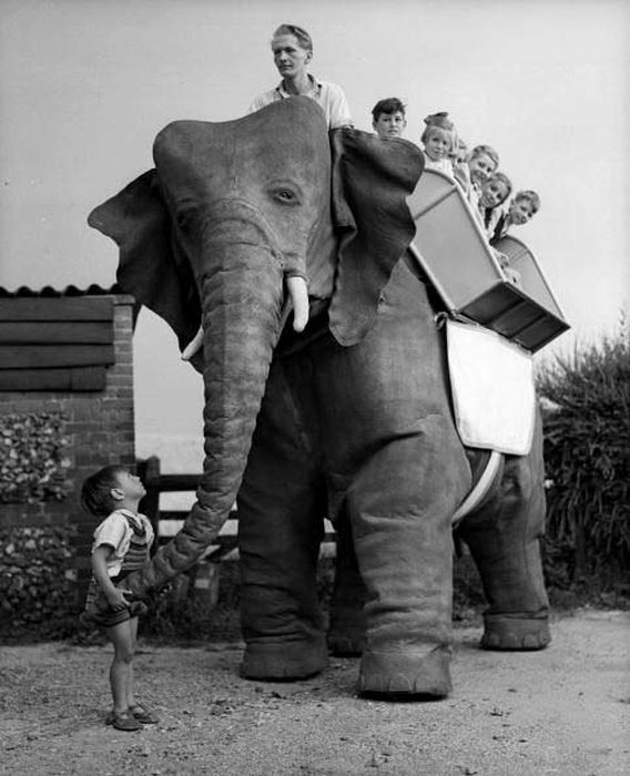 Уникальный робот-слон 50х годов (8 фото)