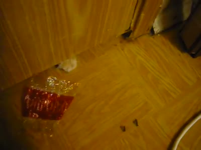 Видео дня
