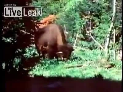 Этот парень даже намного круче Чака Норриса (1.5 мб)