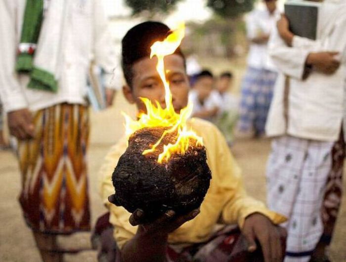 Что можно сделать с горящим кокосом (13 фото)