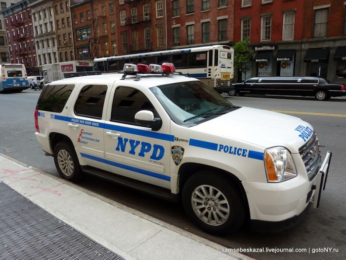 На чем ездит полиция Нью-Йорка (36 фото)