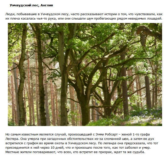 ТОП-10 таинственных лесов с нечистой силой (10 фото)