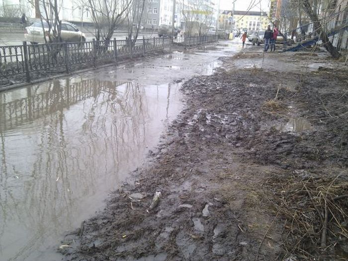 В Москве выпал первый снег (25 фото)
