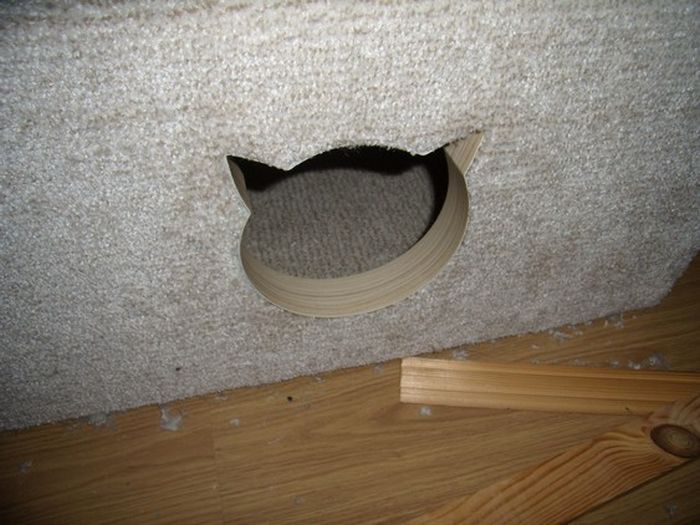 Строим домик для любимого котика (40 фото)