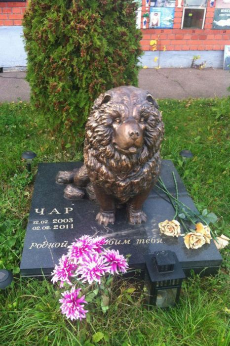 Подмосковное кладбище домашних животных для олигархов (24 фото)