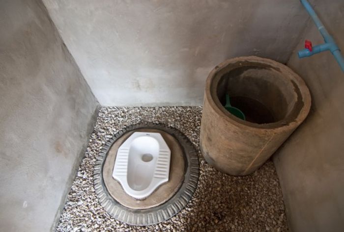Необычные туалеты в общественных местах (24 фото)