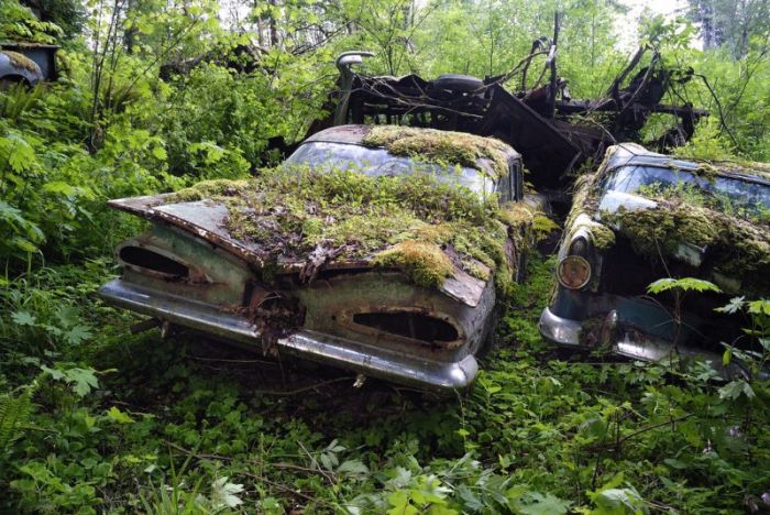 Таинственное кладбище заброшенных автомобилей в лесу (30 фото)