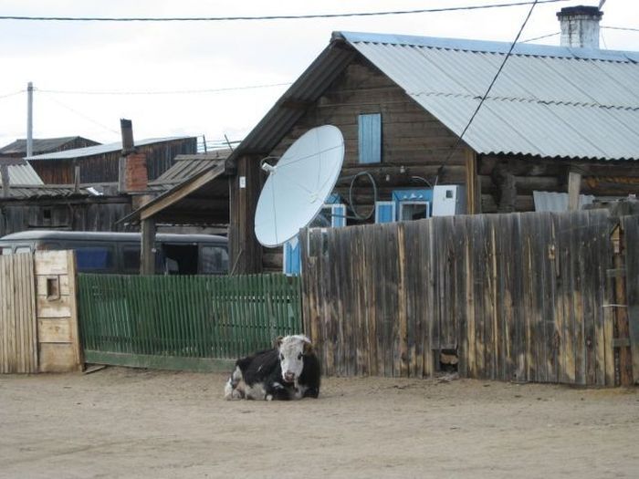 Такое можно увидеть только в России (56 фото)