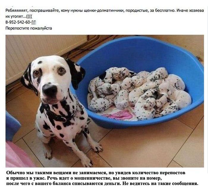Неправдивая информация с публичных страниц Вконтакте (14 фото)