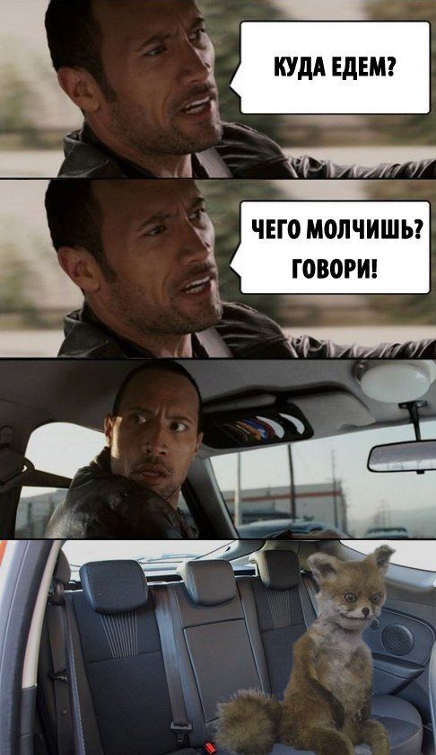 Чучело лисы ставшее интернет-мемом (41 фото)