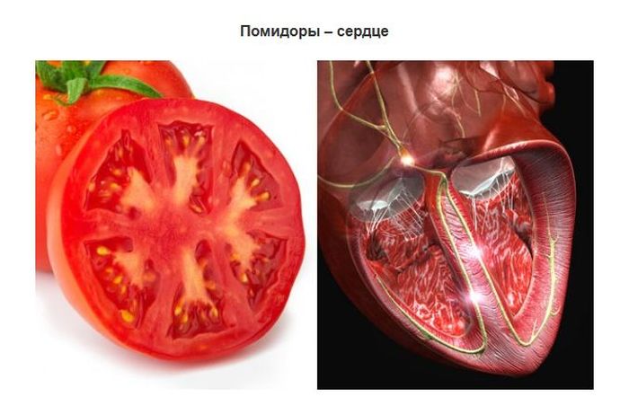 ТОП-10 продуктов, которые полезны для похожих по виду органов человека (9 фото)