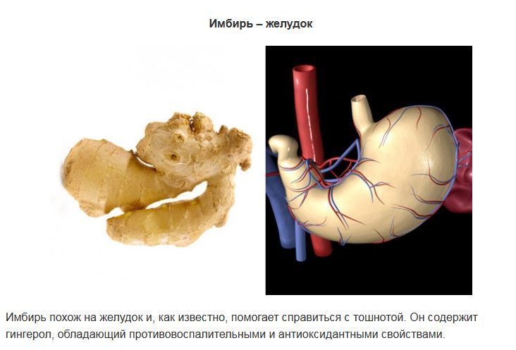 ТОП-10 продуктов, которые полезны для похожих по виду органов человека (9 фото)