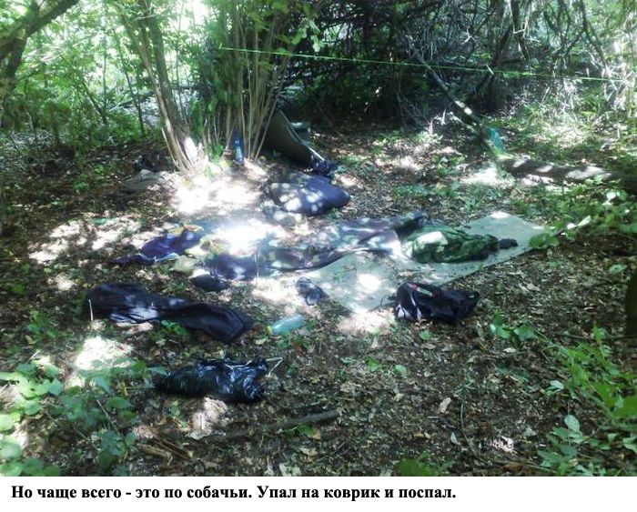 Как террористы джихада скрываются в лесу (15 фото)