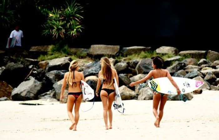 Стройные девушки, которые обожают серфинг (40 фото)