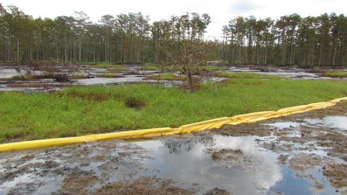 Необычное природное бедствие в штате Луизиана (7 фото)