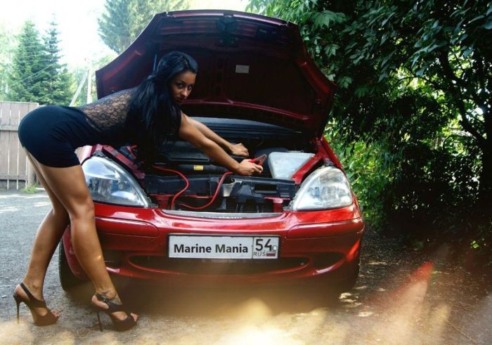 Сексуальные девушки и заряженные автомобили (80 фото)