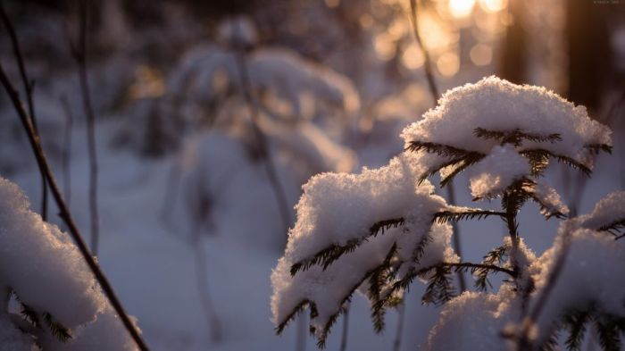 Новогоднее настроение и настоящая зима (34 фото)