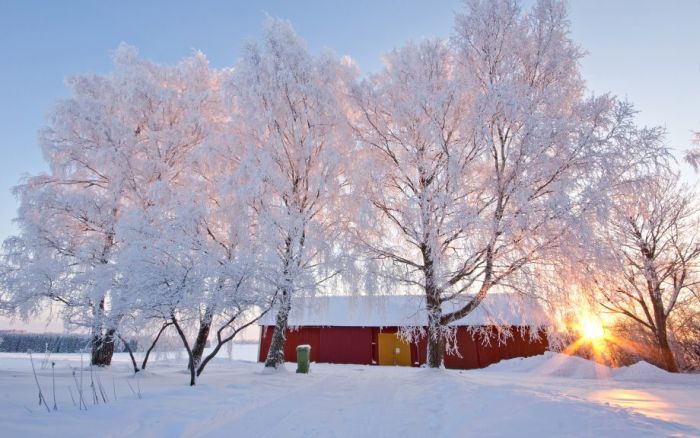 Новогоднее настроение и настоящая зима (34 фото)