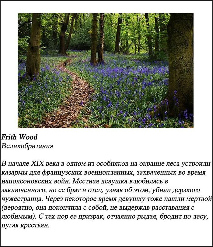 10 самых пугающих лесов нашей планеты (10 фото)