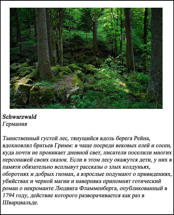 10 самых пугающих лесов нашей планеты (10 фото)