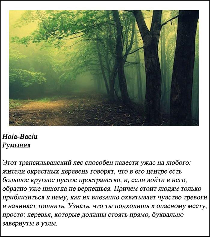 10 самых пугающих лесов нашей планеты (10 фото)